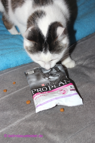 fuer_sie_trendsetter_purina_proplan_delicate_14
