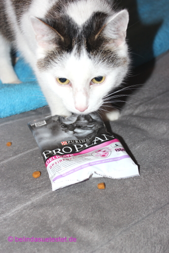 fuer_sie_trendsetter_purina_proplan_delicate_15
